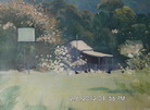 Bruce Malloch - A Tranquil Setting (Manjimup)