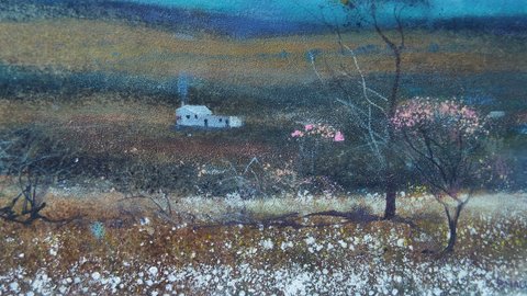 Bruce Malloch - Season of Colour -Murchison WA