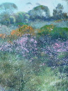 Bruce Malloch - Hillside Flora